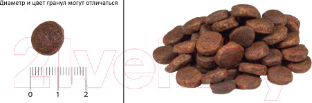 Изображение товара Сухой корм для собак Acana Yorkshire Pork / 2131 (2кг)