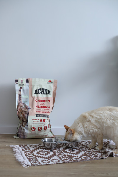 Изображение товара Сухой корм для кошек Acana Indoor Entree Cat с птицей и рыбой / 2189 (4.5кг)