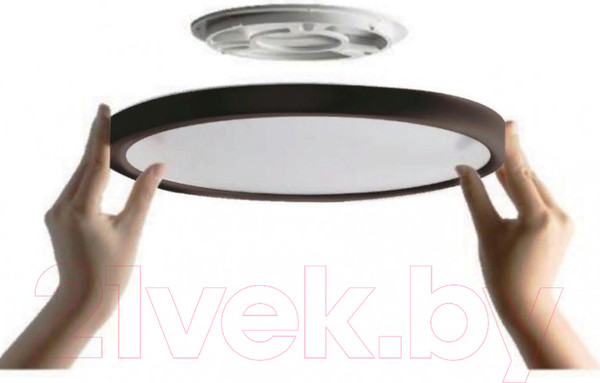 Изображение товара Потолочный светильник Ultra NR-12W-4000K Black