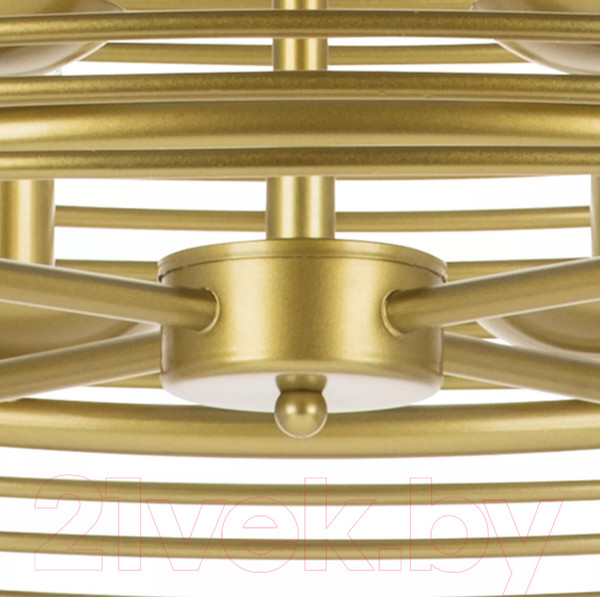 Изображение товара Люстра Lightstar Zeta 728083 (MD20105-8A)