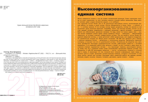 Изображение товара Энциклопедия АСТ Анатомия (Спектор А.)