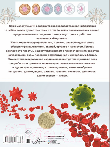 Изображение товара Энциклопедия АСТ Анатомия (Спектор А.)