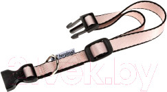 Изображение товара Ошейник Ferplast Club Puppy C10/25 / 75250898