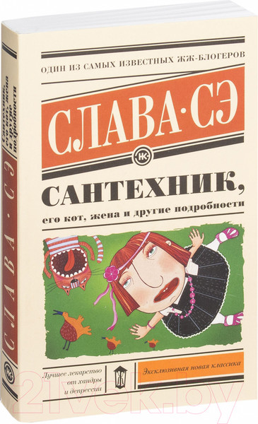 Изображение товара Книга АСТ Сантехник, его кот, жена и другие подробности (Слава Сэ)