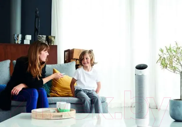 Изображение товара Тепловентилятор Tefal HE8120F0