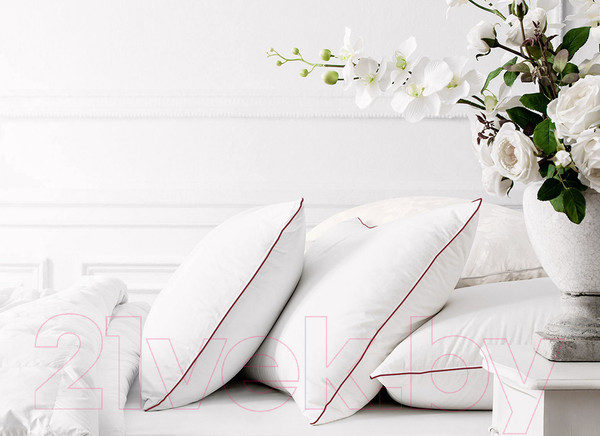 Изображение товара Одеяло Kariguz DeLuxe / 200x220 (пуховой, хлопок)