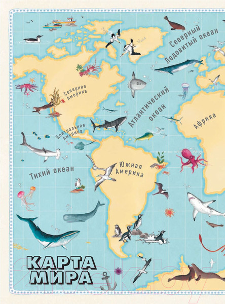 Изображение товара Энциклопедия АСТ Большой атлас подводного мира в картинках (Хокинс Э.)