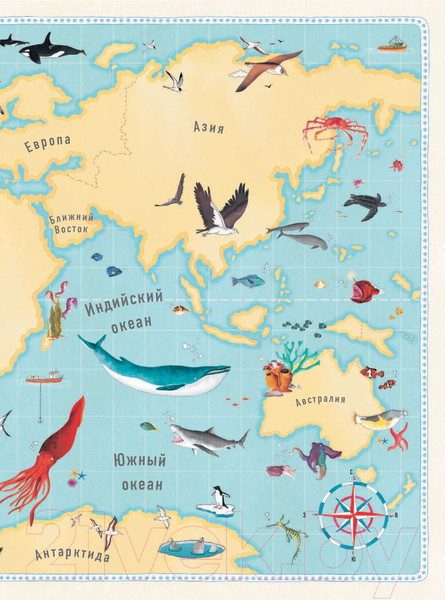 Изображение товара Энциклопедия АСТ Большой атлас подводного мира в картинках (Хокинс Э.)