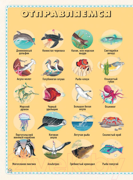 Изображение товара Энциклопедия АСТ Большой атлас подводного мира в картинках (Хокинс Э.)