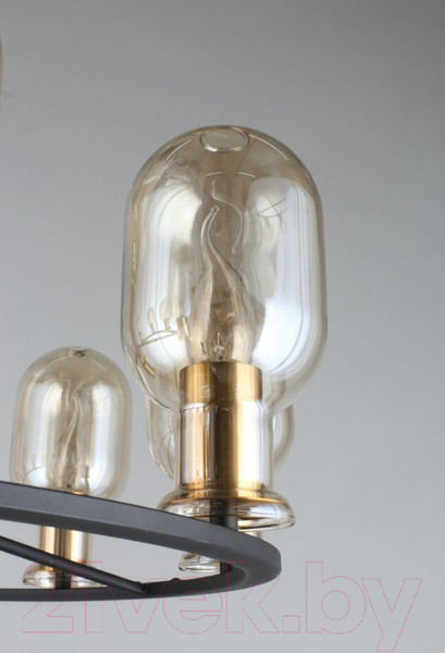 Изображение товара Люстра Aployt Stefani APL.901.03.10