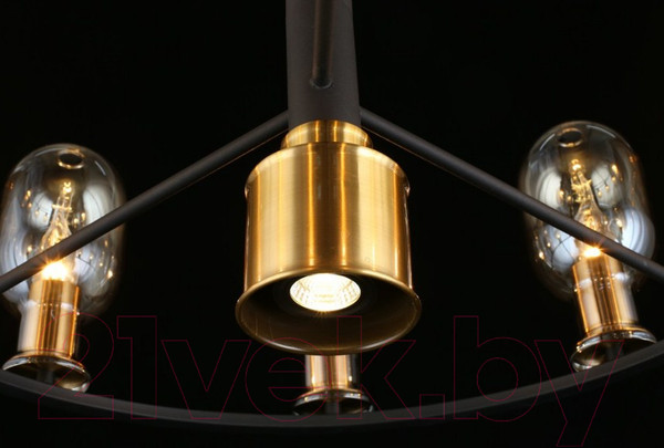 Изображение товара Люстра Aployt Stefani APL.901.03.10