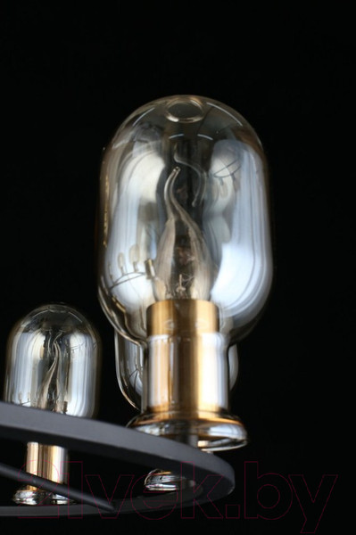 Изображение товара Люстра Aployt Stefani APL.901.03.10