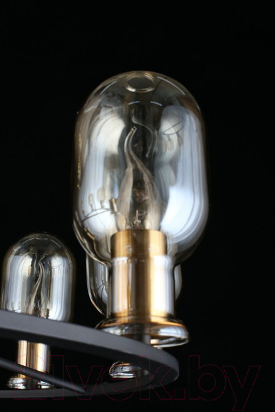 Изображение товара Люстра Aployt Stefani APL.901.03.10