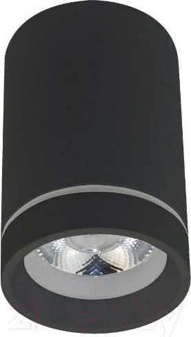 Изображение товара Потолочный светильник Aployt Edda APL.0054.19.10