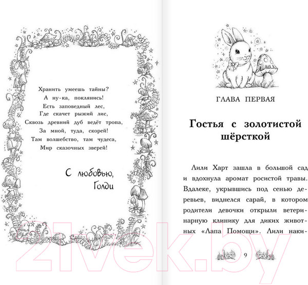 Изображение товара Книга Эксмо Крольчонок Люси, или Волшебная встреча (Медоус Д.)