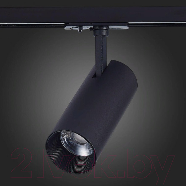 Изображение товара Трековый светильник ST Luce Mono ST350.436.20.36