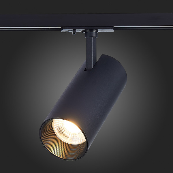 Изображение товара Трековый светильник ST Luce Mono ST350.436.30.36