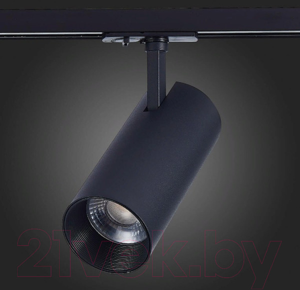Изображение товара Трековый светильник ST Luce Mono ST350.436.30.36