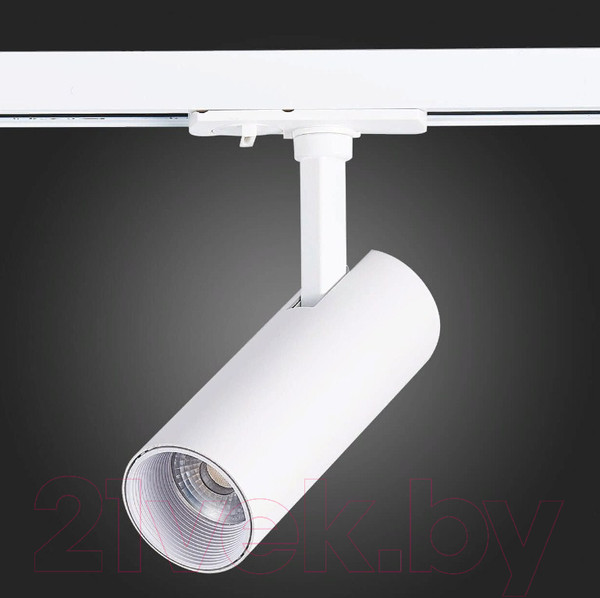 Изображение товара Трековый светильник ST Luce Mono ST350.536.10.36