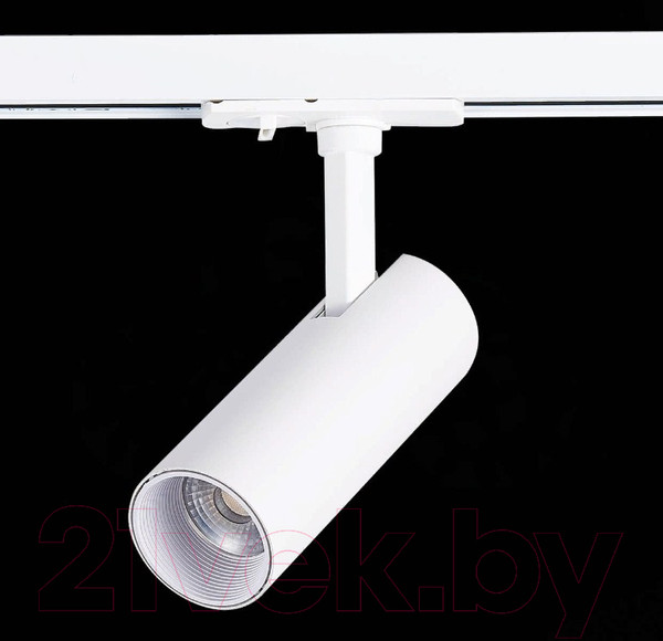 Изображение товара Трековый светильник ST Luce Mono ST350.536.10.36