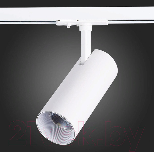 Изображение товара Трековый светильник ST Luce Mono ST350.536.20.36