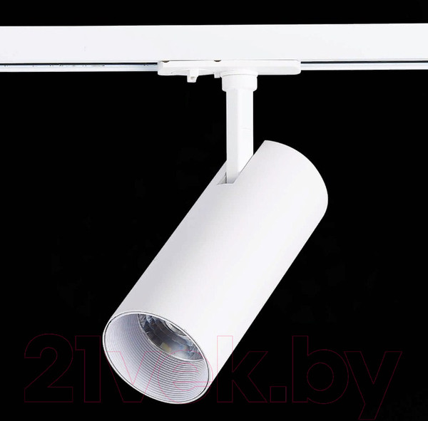Изображение товара Трековый светильник ST Luce Mono ST350.536.20.36