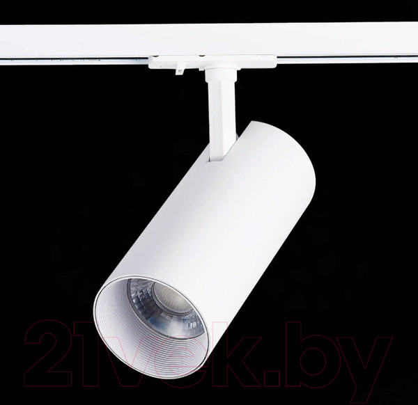 Изображение товара Трековый светильник ST Luce Mono ST350.536.30.36