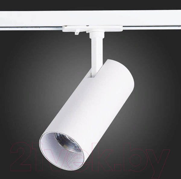 Изображение товара Трековый светильник ST Luce Mono ST350.546.15.36