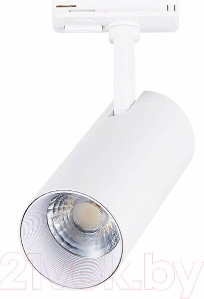 Изображение товара Трековый светильник ST Luce Mono ST350.546.20.36