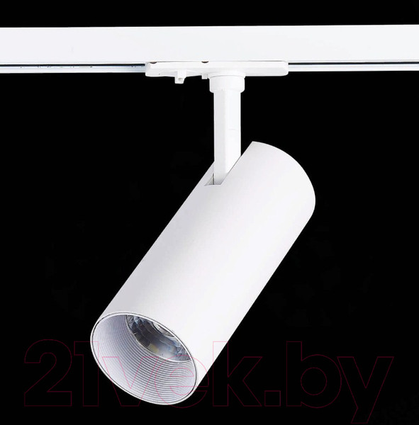 Изображение товара Трековый светильник ST Luce Mono ST350.546.20.36
