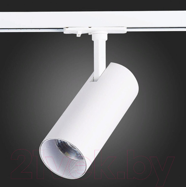 Изображение товара Трековый светильник ST Luce Mono ST350.546.20.36