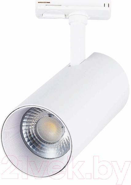 Изображение товара Трековый светильник ST Luce Mono ST350.546.30.36