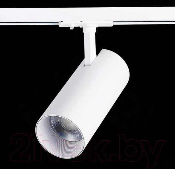 Изображение товара Трековый светильник ST Luce Mono ST350.546.30.36