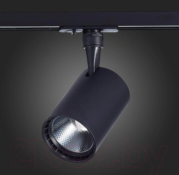 Изображение товара Трековый светильник ST Luce Cami ST351.436.30.36