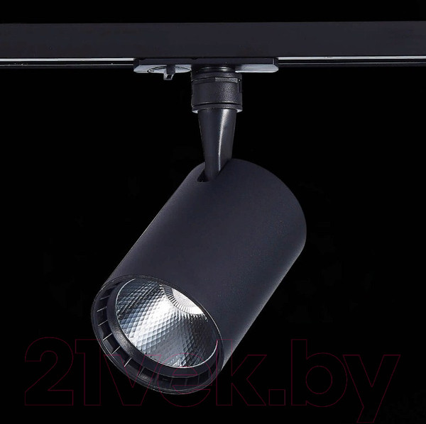 Изображение товара Трековый светильник ST Luce Cami ST351.436.30.36
