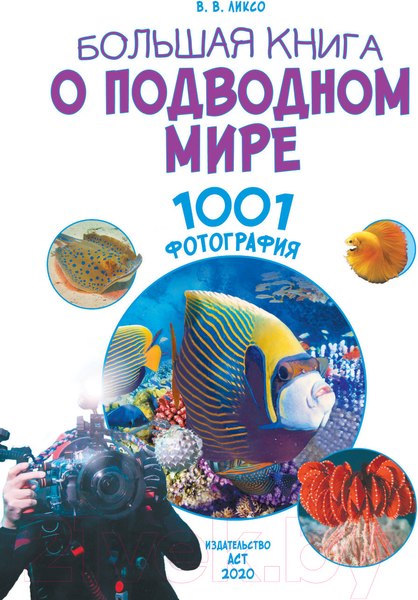 Изображение товара Энциклопедия АСТ Большая книга о подводном мире (Ликсо В.В.)