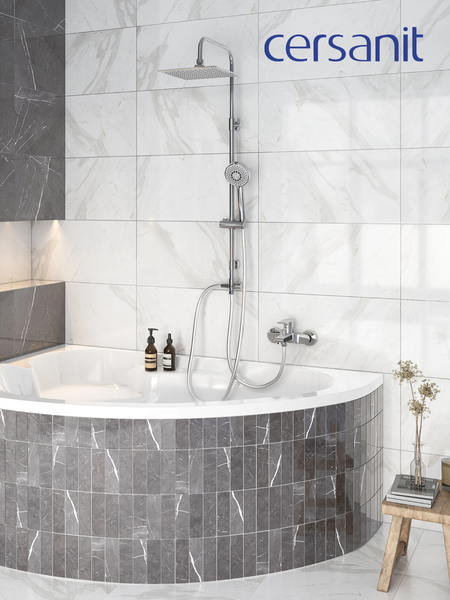 Изображение товара Смеситель Cersanit Brasko 63021