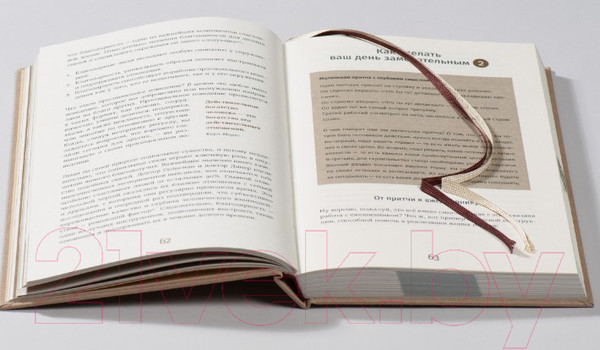 Изображение товара Мотивационный ежедневник Альпина 6 минут. Ежедневник, который изменит вашу жизнь. Корица (Спенст Д.)