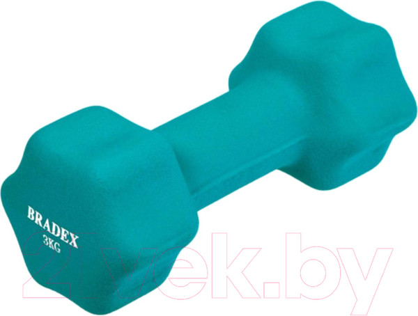 Изображение товара Гантель Bradex SF 0543 (3кг, голубой)