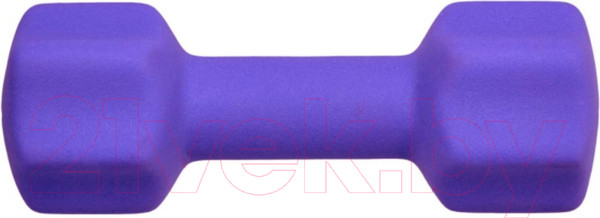 Изображение товара Гантель Bradex SF 0544 (4кг, фиолетовый)