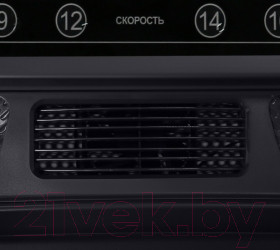 Изображение товара Электрическая беговая дорожка Bronze Gym T1000M Pro Turbo