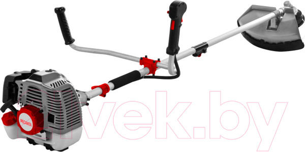 Изображение товара Триммер бензиновый Ресанта БТР-2900П (70/2/44)