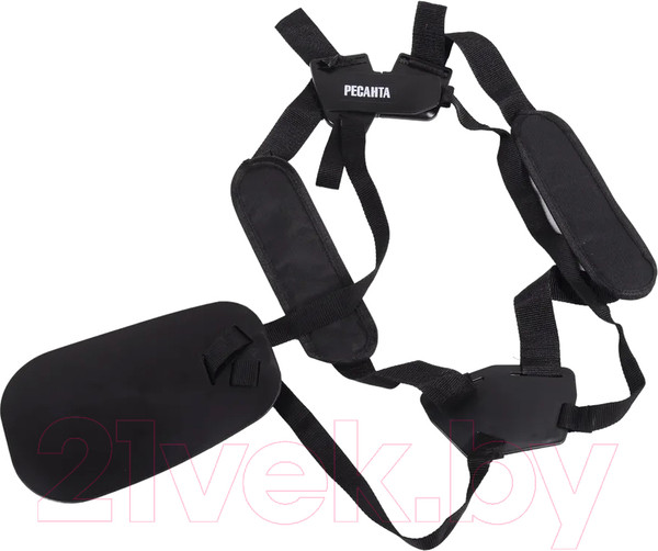 Изображение товара Триммер бензиновый Ресанта БТР-2900П (70/2/44)