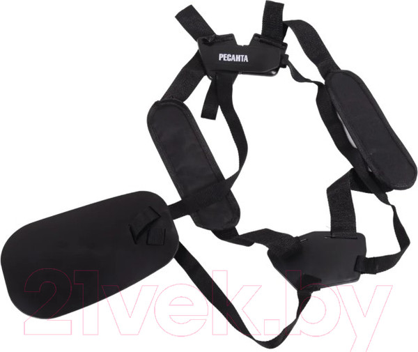 Изображение товара Триммер бензиновый Ресанта БТР-2900Р (70/2/43)