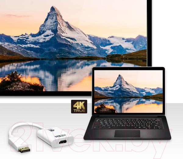 Изображение товара Адаптер Aten DisplayPort в HDMI VC986B-AT
