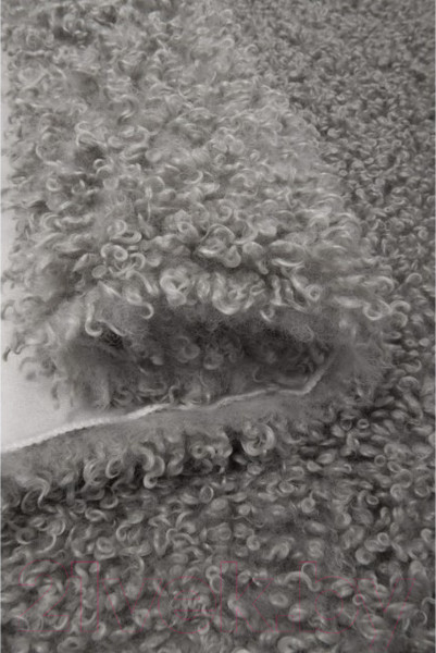 Изображение товара Шкура животного Orlix Baranek 505168 (серый)