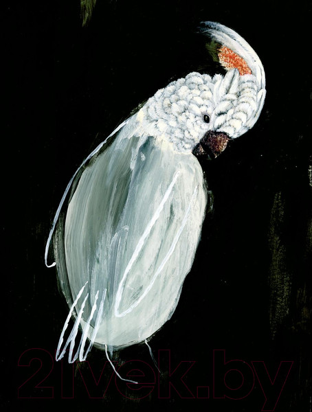 Изображение товара Книга Попурри Золотая клетка, или Правдивая история о принцессе (Кастаньоли А., Кнют К.)