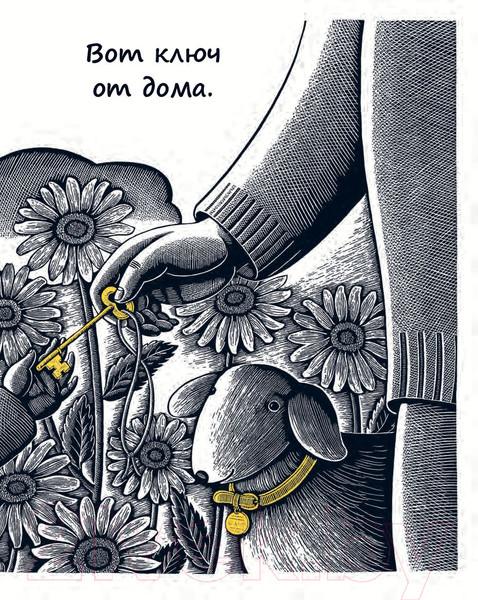 Изображение товара Книга Попурри Дом в ночи (Суонсон С.)