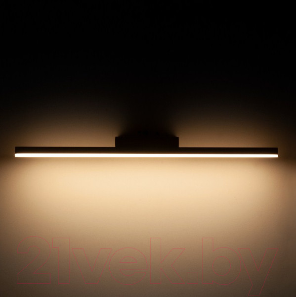 Изображение товара Подсветка для картин и зеркал Elektrostandard Protect MRL LED 1111 (белый)