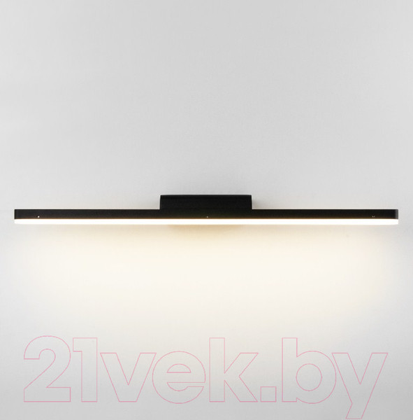 Изображение товара Подсветка для картин и зеркал Elektrostandard Protect MRL LED 1111 (черный)